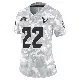 ＃22 Women's Arthur Maulet Arctic Camo Limited Houston Texans 2024 Salute to Service Jersey